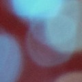 Bokeh-304